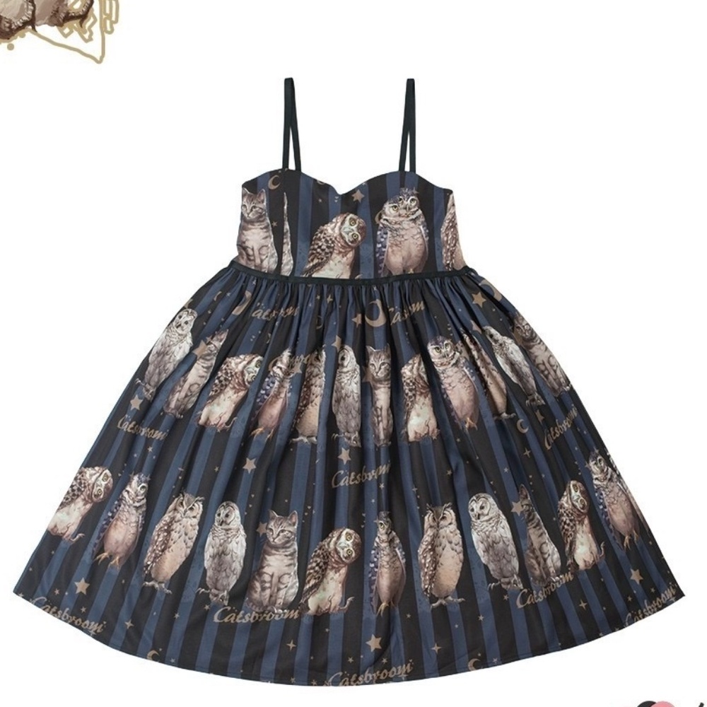 Cat's Broom ~ Find The Cat Owl and cat print lolita dress